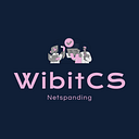 Wibit Consulting & Services (WibitCS) logo