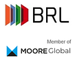BRL Risk Consulting  & Co. KG logo