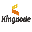 Kingnode America Inc logo