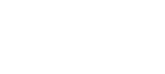 ACE logo