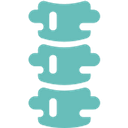 The Spine Hospital of Louisiana logo