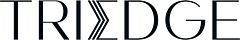 TriEdge Investments logo