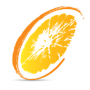 Citron Catering logo