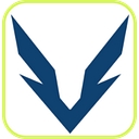 Valiant Enterprises logo