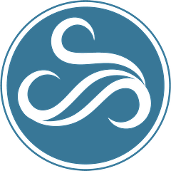 CSS logo