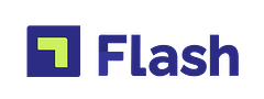 Flash logo