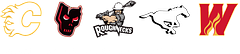 Calgary Sports and Entertainment logo