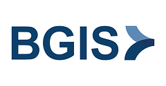 BGIS logo
