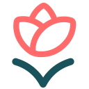 BloomHR logo