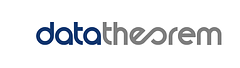 Data Theorem logo