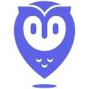 Placer.ai logo