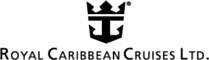 V.Group logo