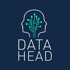 Datahead logo