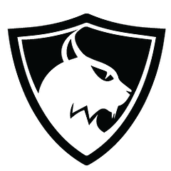 Lynx Technology Partners logo