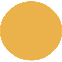 Torex Gold Resources logo