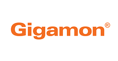 Gigamon logo