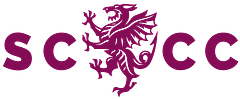 Somerset Cricket logo