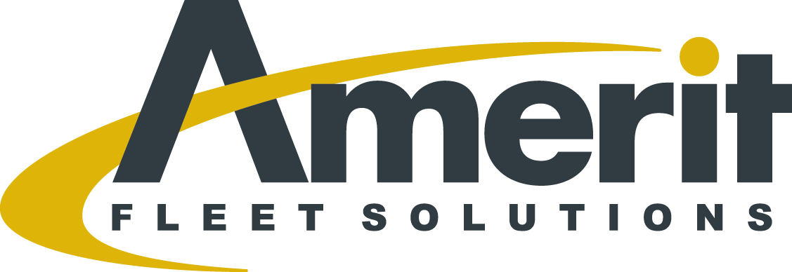Amerit Fleet Solutions logo