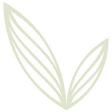 Groupe Vitae logo