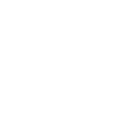 Veesion logo
