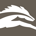 KLLM logo