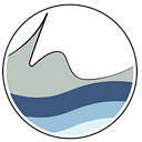 Hayden Surgery Center logo