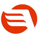 Lone Star Transportation logo