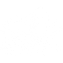 Mammoth Brands logo