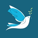 Noah Homes Inc. logo