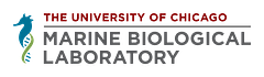 MBL logo