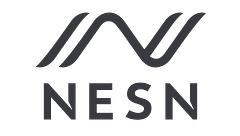 Nesn Ltd logo