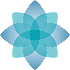 BrightSpring Health Services logo