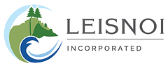 Leisnoi logo