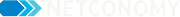 Netconomy logo