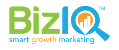 BizIQ logo