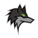 Dark Wolf Solutions logo