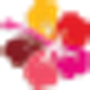 Aloha Cleaning Experts logo