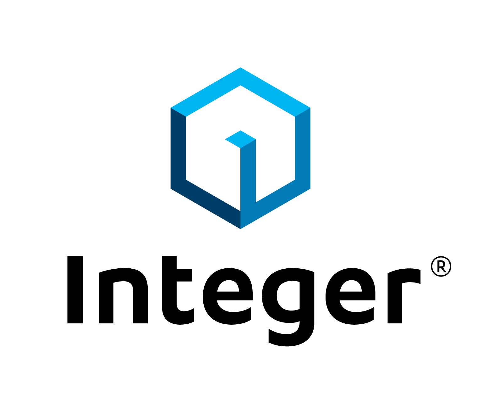 Integer logo