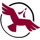 Shared Value Solutions logo