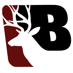 Buchanan Community Schools logo