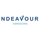 Ndeavour Consulting logo