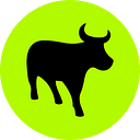 Flash logo