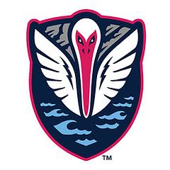 South Georgia Tormenta FC logo