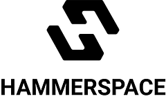 Hammerspace logo