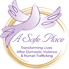A Safe Place Internship logo
