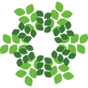 Rainforest Distribution logo