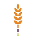 Feeding Tampa Bay logo