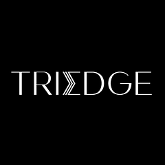 TriEdge Investments logo