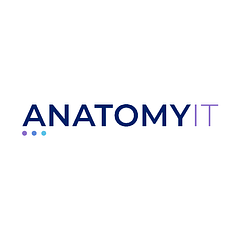 Anatomy IT logo