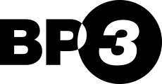 BP3 Global logo